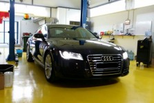 Elitar Performance Gallery