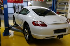 Elitar Performance Gallery