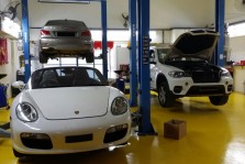 Elitar Performance Gallery