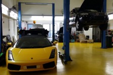 Elitar Performance Gallery