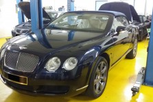 Elitar Performance Gallery