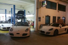 Elitar Performance Gallery